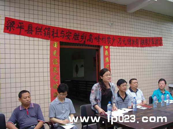 县供销社到安胜乡帮扶农户万元增收工程 梁平资讯 梁平信息网