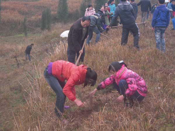 柏家中学开展义务植树活动：播种绿色希望  共建美丽家园