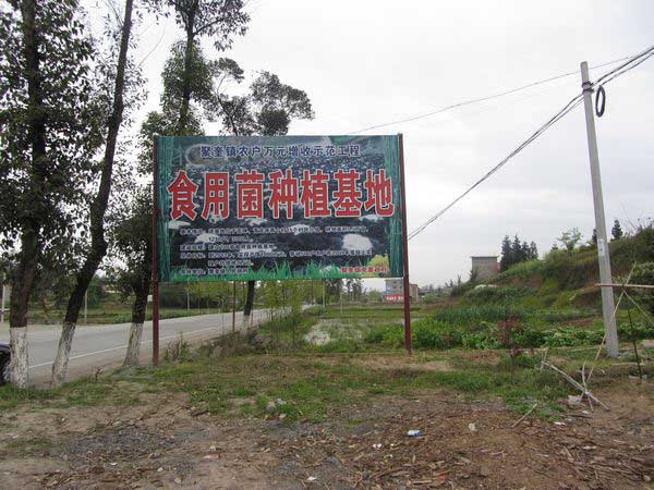 聚奎镇食用菌种植基地建成投产