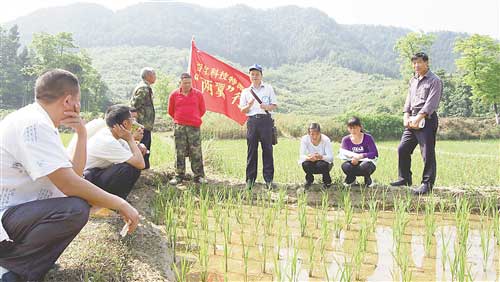 蟠龙镇：科技讲座到田间