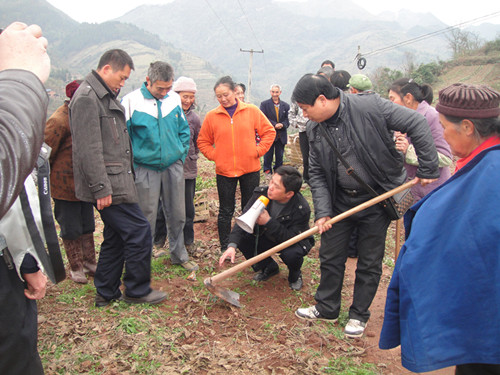 图为县林业局为大观镇村民指导油茶种植情况