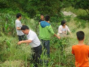 紫照乡团委帮助失独家庭抢收油菜