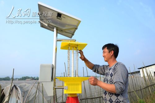 梁山街道：蔬菜基地用上太阳能杀虫灯