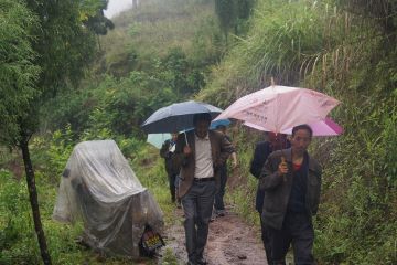 紫照乡：干部冒雨视察各村灾情