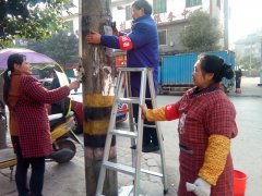 袁驿镇清除街道“牛皮癣” 场镇旧貌换新颜