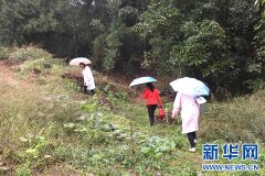 梁平区合兴中心卫生院：心系新生命 关爱重点人群