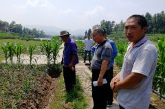 梁平和林镇组织辖区贫困户开展生姜种植技术培训