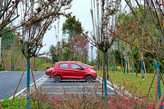 双桂湖国家湿地公园新增生态停车场。通讯员  石楚园  摄