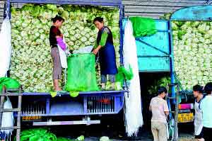 连晴高温蔬菜减产急调外地蔬菜入渝