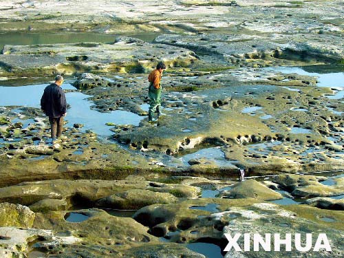 科技时代_重庆梁平发现距今200多万年冰川遗迹(组图)