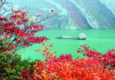 满山红叶似彩霞，彩霞连年映三峡