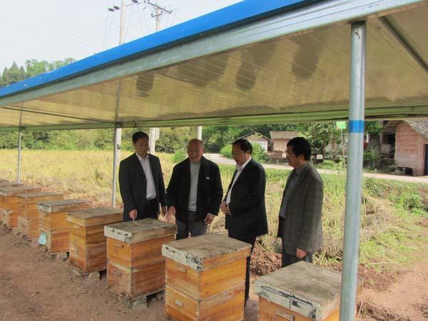 镇领导和农服中心人员到蜂农家了解蜂棚建设情况