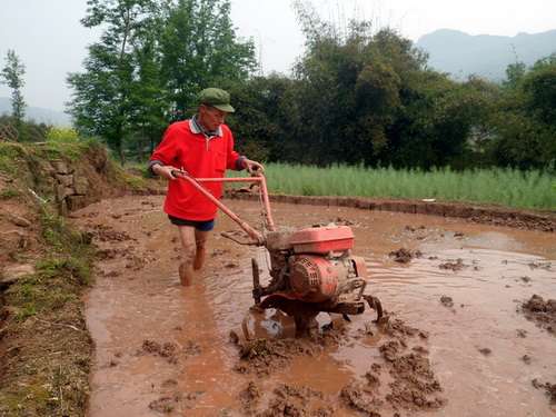 石安镇：春雨缓解旱情 村民备耕忙