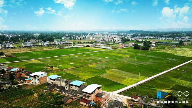 五月，重庆梁平的多彩丘陵间、平川田园里，处处是生机勃勃的景象，一幅幅美丽乡村图画铺展大地。图为无人机航拍梁平区屏锦镇万年村，平川田园静美如画。新华网发（高小华 摄）