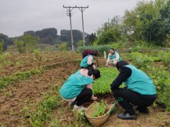 梁平龙胜乡开展帮助贫困户农业生产活动
